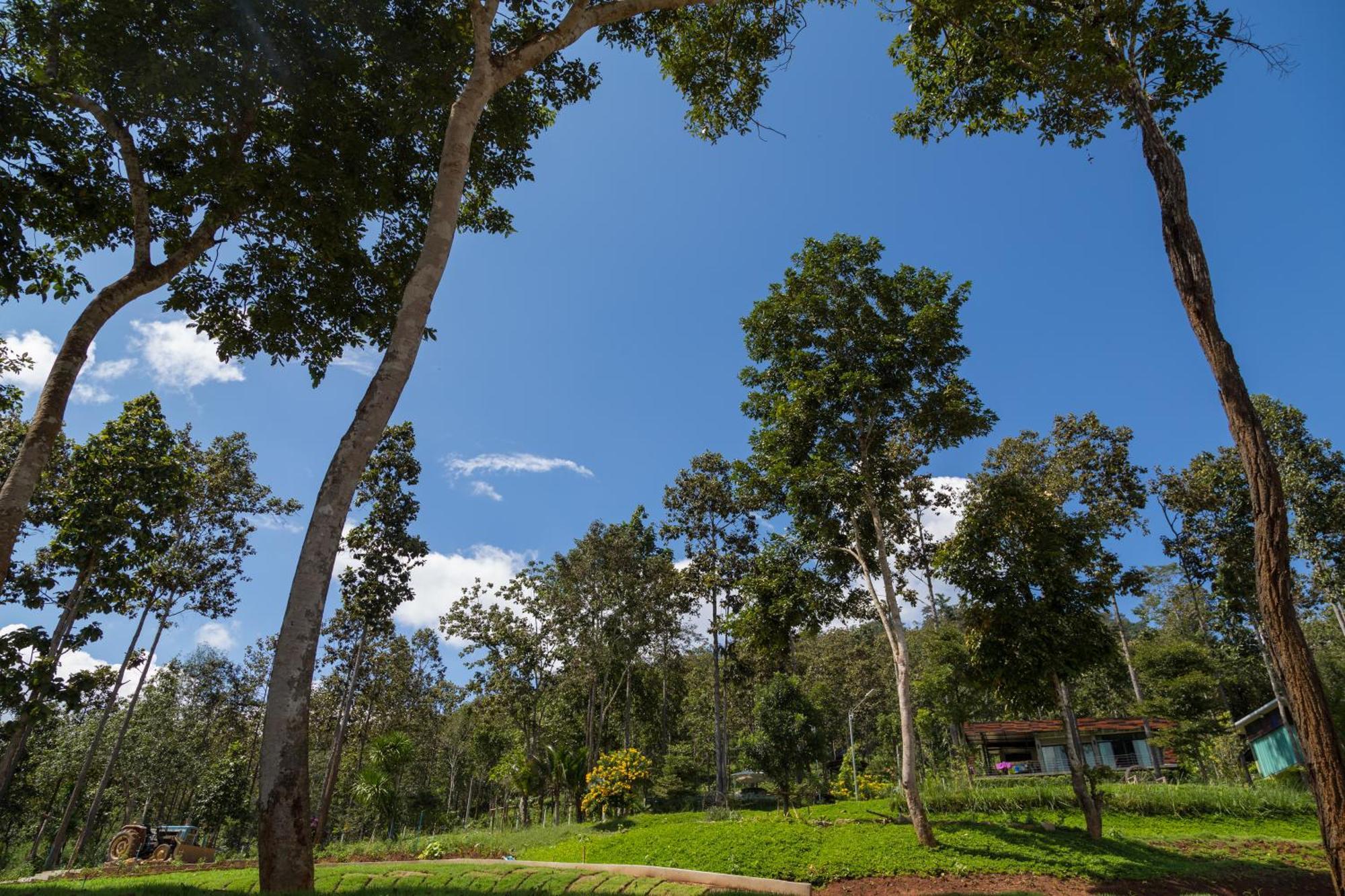 Phu Pha View Doi Hotel Samoeng Екстериор снимка